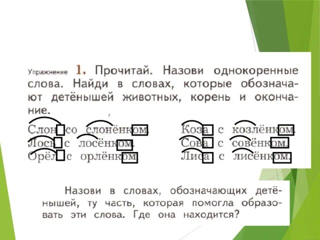 Части слова медведь. Пары слов к слову медведя. Выдели корни и окончания слов тигру тигрице.