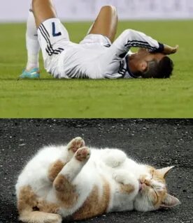 Коте футболист