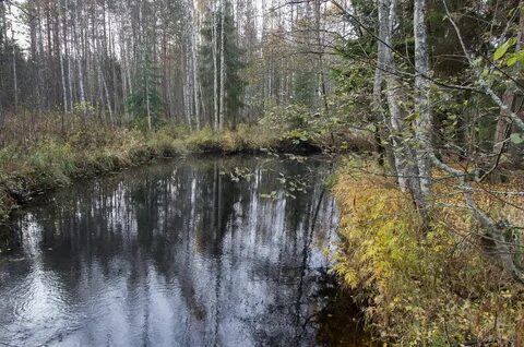 Железная река