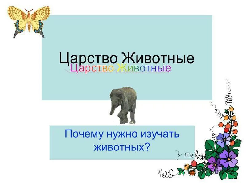 Стерилизуй животных. Для чего животным нужен хвост. Зачем нужны дикие животные людям. Зачем стерилизовать животных. Профессия ветеринар сочинение.