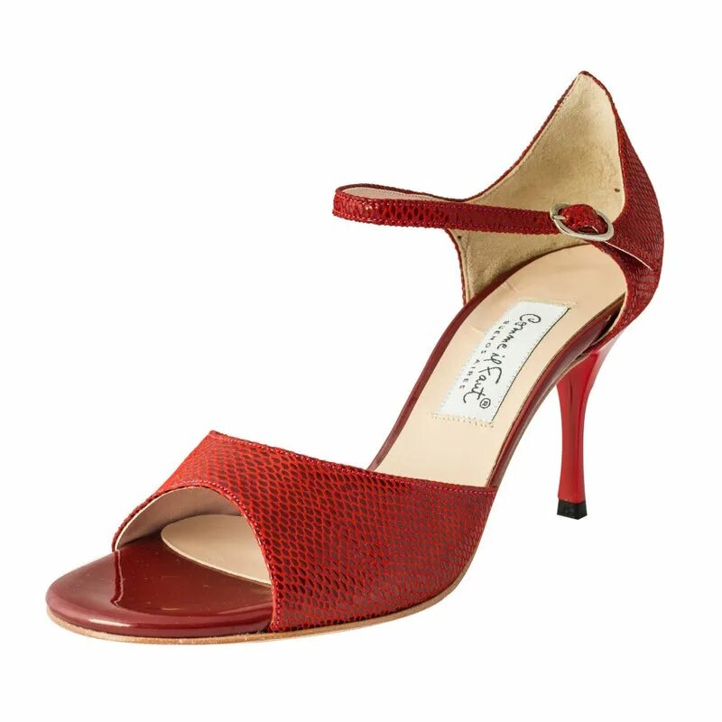 Tango shoes
