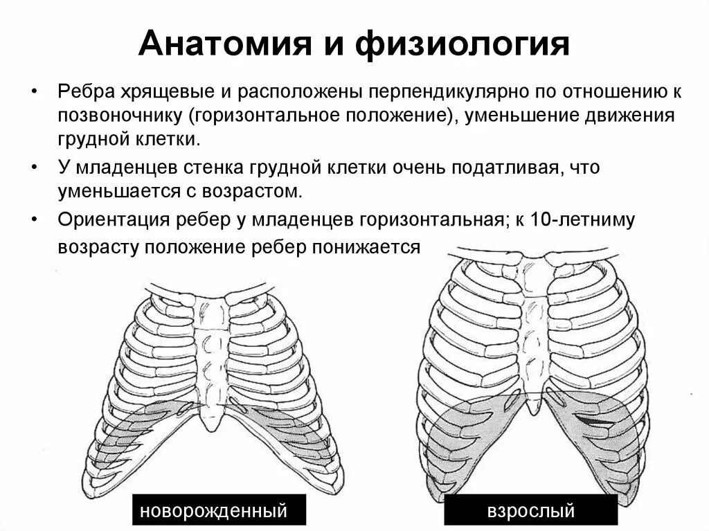 Особенности строения грудной клетки у детей. Строение грудной клетки у новорожденных детей. Анатомо физиологические особенности грудной клетки. Особенности строения грудной клетки у детей раннего возраста. Грудная клетка у ребенка норма