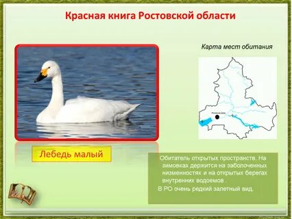 Карта лебеди краснодарский край