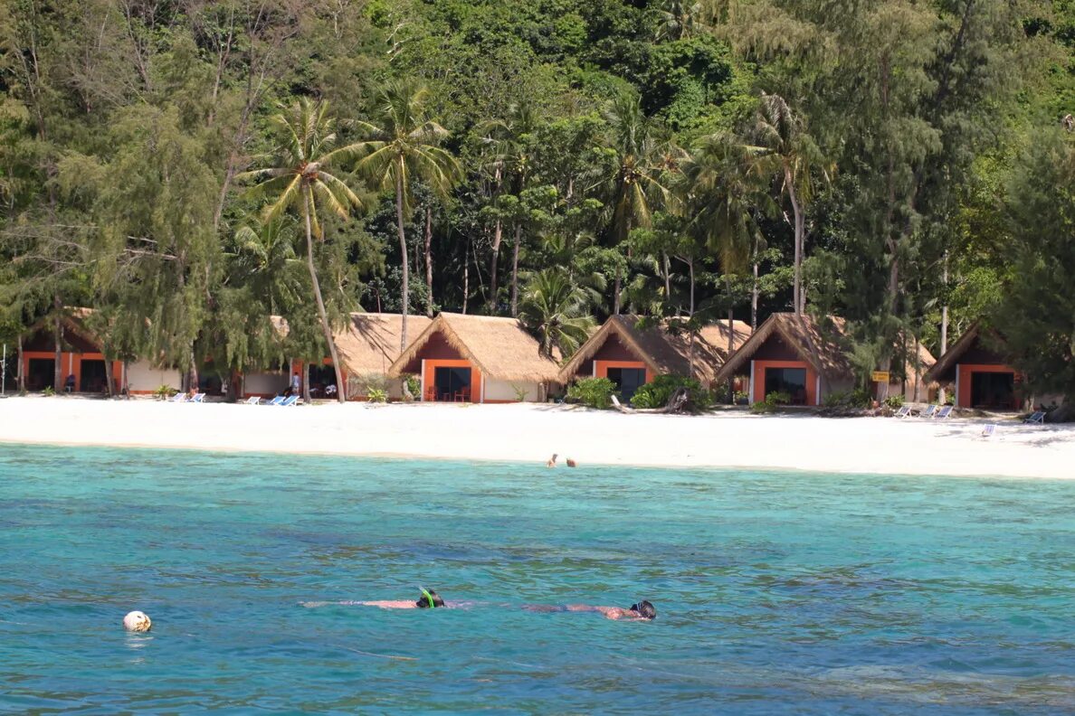 Остров рача пхукет. Ws33 коралловый остров. Коралловый остров тайланд. Остров корал пхукет. Корал айленд пхукет.