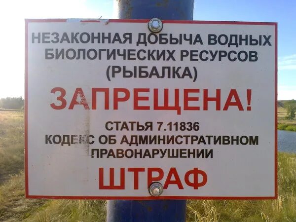 Рыбалка запрещена. Рыбалка запрещена табличка. Ловля рыбы запрещена табличка. Лов рыбы запрещен табличка.