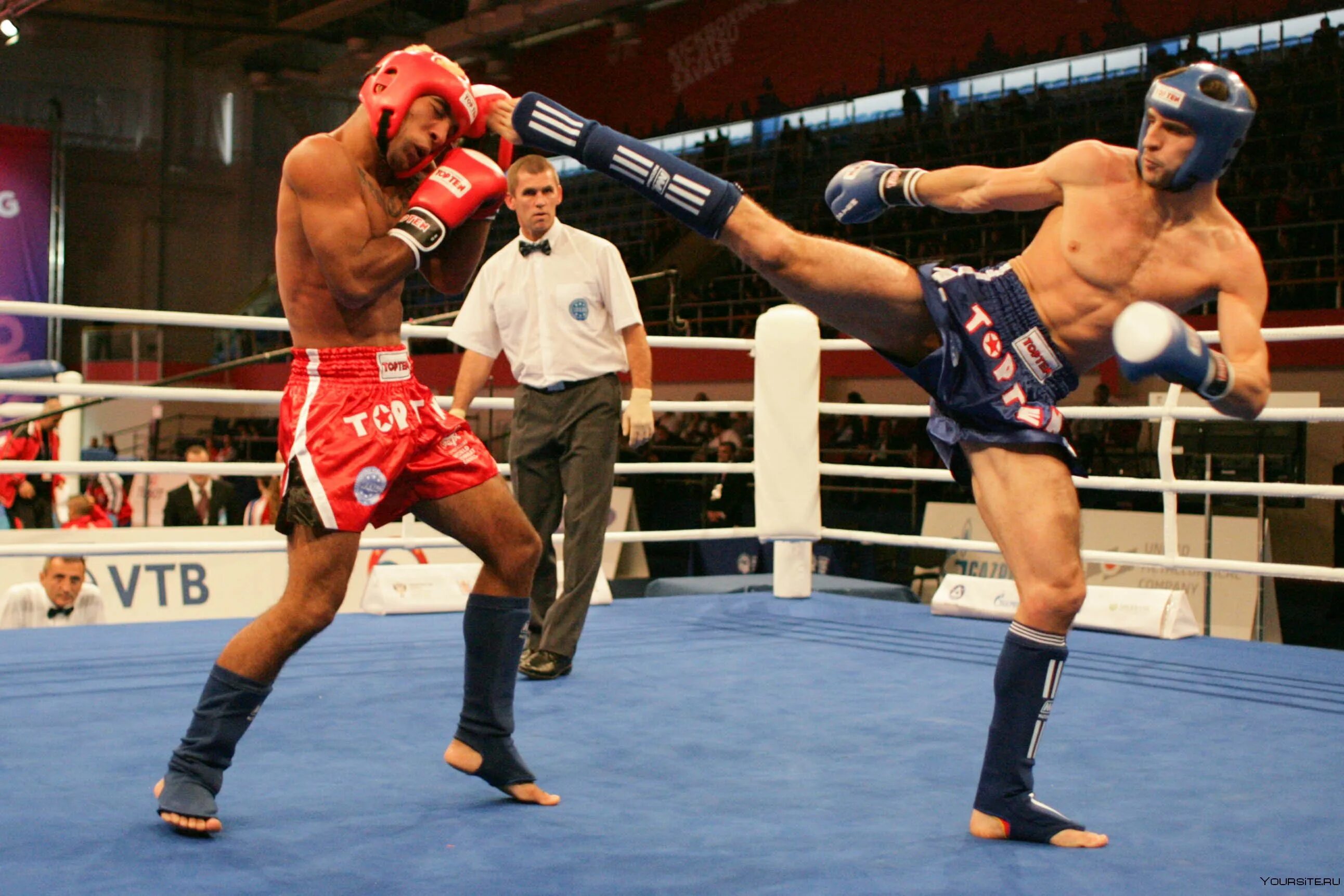 Единоборства бокс кикбоксинг мма. Как называется кикбоксинг. Бразильский лоу кик. Как называется кикбоксинг. Вероника прокофьева муай тай.