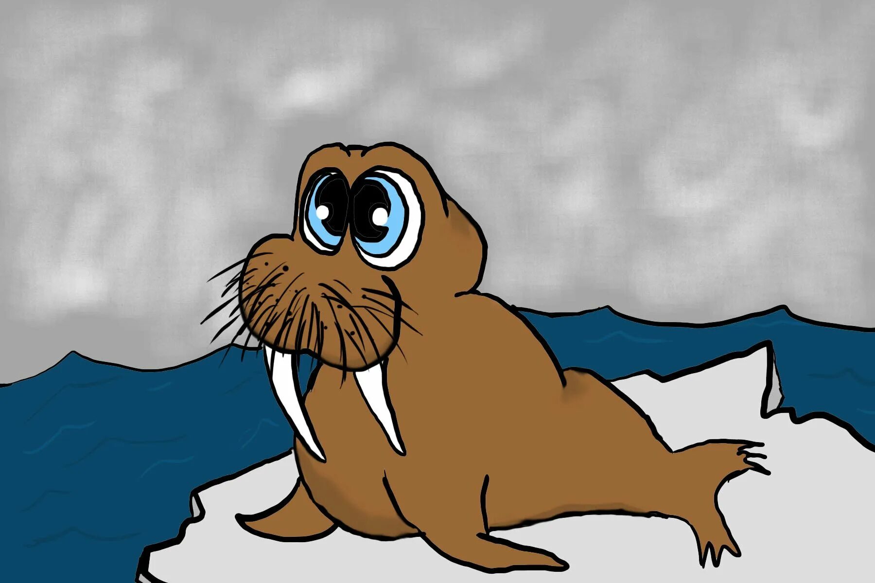 Берегите моржей