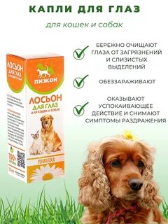 Лосьон для глаз кошек и собак