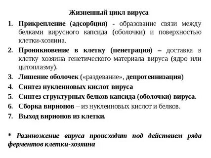 Путь тезис