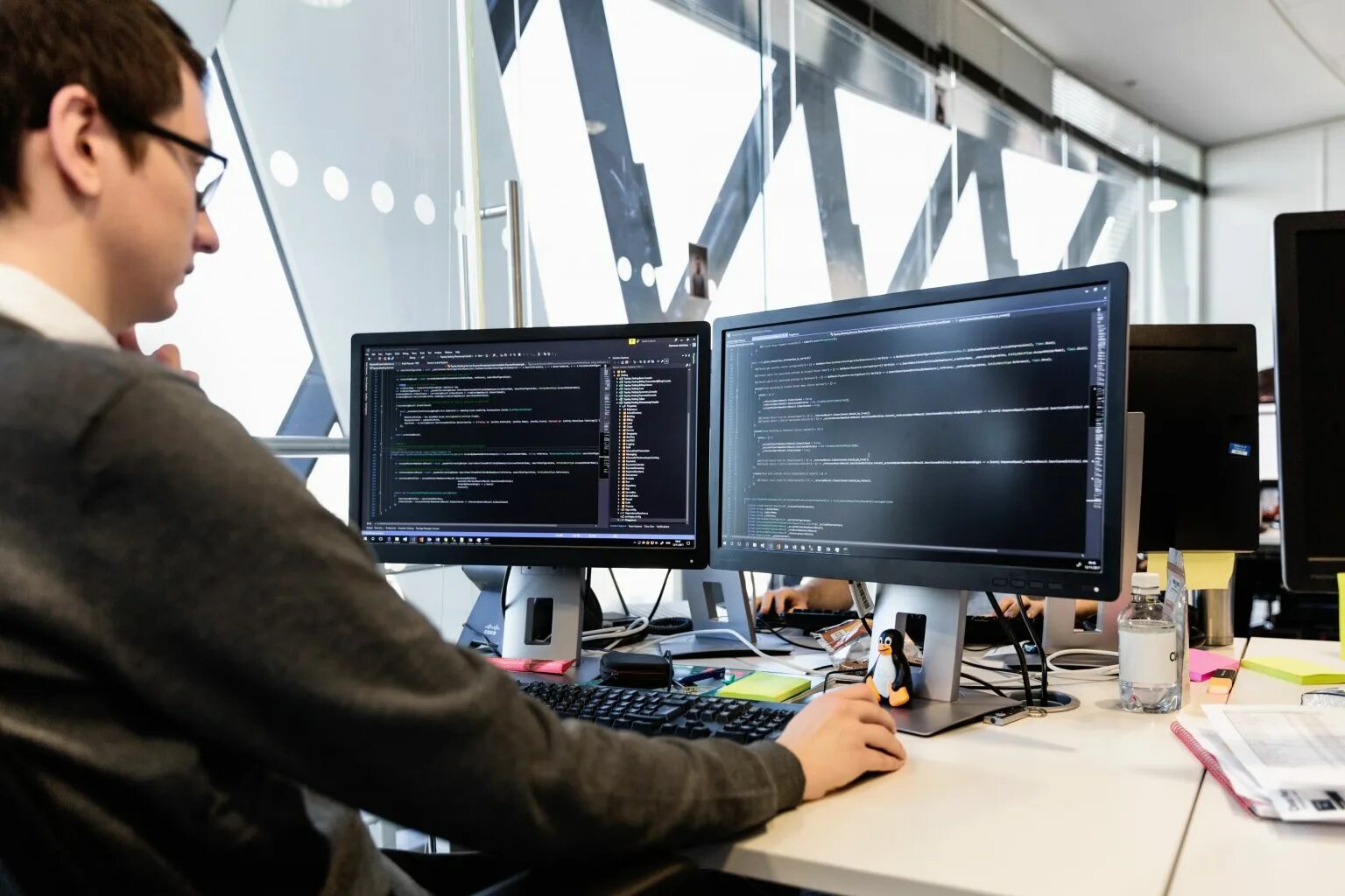 Ms developer