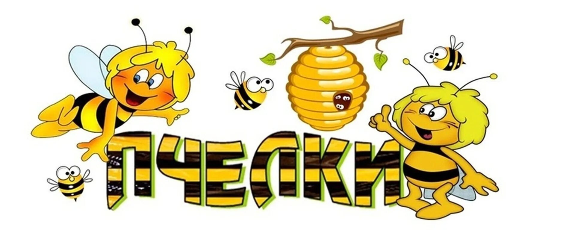 Группа пчелки. Название группа пчелки. Группа пчелки в детском саду. Название группы пчелки в детском саду. Включи маленькая пчелка