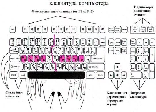 Схема расположения цифр на клавишах Ноты известных песен по цифрам для синтезатора, фортепиано Ноты, Книги по музыке