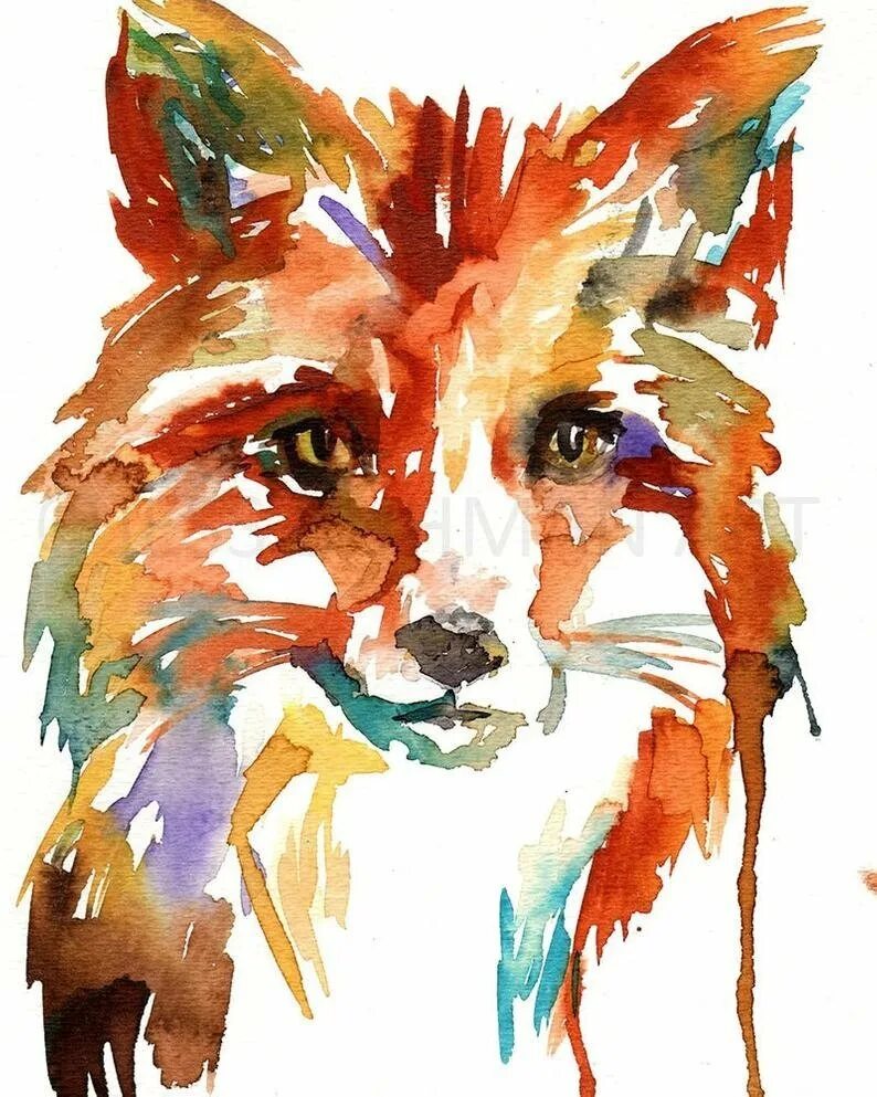 Животные акрилом на холсте. Картины для срисовки красками. Картинки красками. Рисование животных красками. Яркие рисунки акварелью.