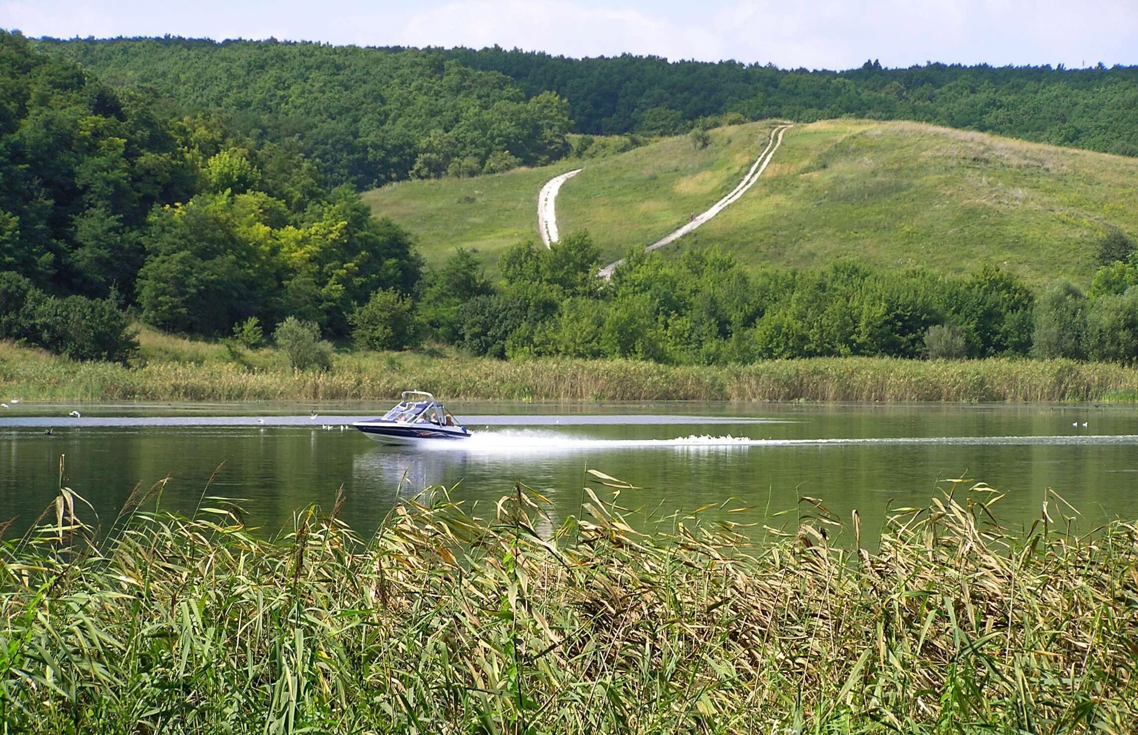 Северский Донец река. Северский Донец белгородское водохранилище. Река Донец Белгородской области. Река Оскол Белгородской области. Водохранилище оскол