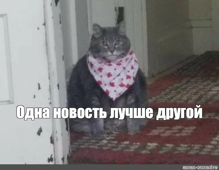 Одна новость лучше другой