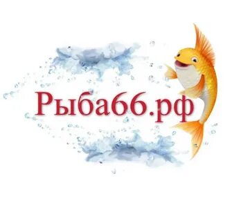 Золотая рыбка свердловская