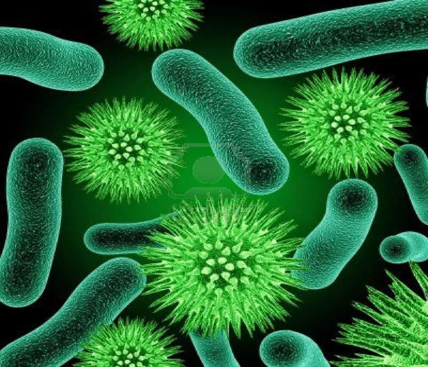 Микрофлора бактерии. Патогенные микробы микробиология. бактерии (eubacteria),. бациллы бактерии микробиология. болезнетворные микроорганизмы.