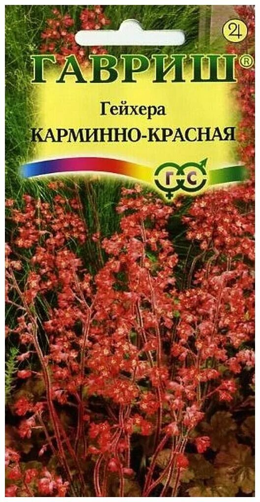 Гейхера семена фото Купить Гейхера "Плазмас" Комета 0,05 г в Онсад.ру с доставкой Почтой