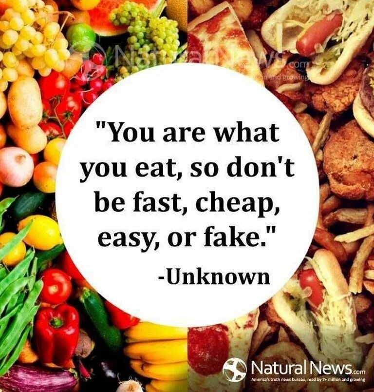 You are what you eat проект. Проект на тему you are what you eat. Проект по английскому you are what you eat. You are what you eat проект по английскому 8. If you eat too many