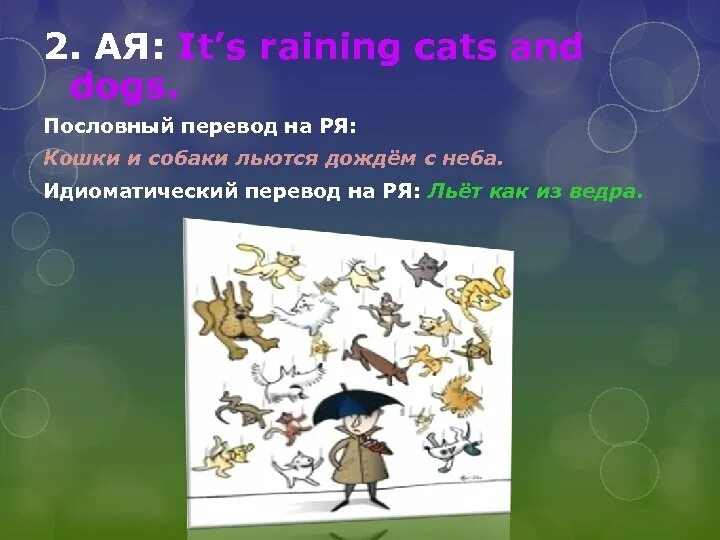 Rain Cats and Dogs идиома. It s raining Cats and Dogs перевод. Льёт как из ведра на английском. Raining Cats and Dogs идиома. Raining перевести