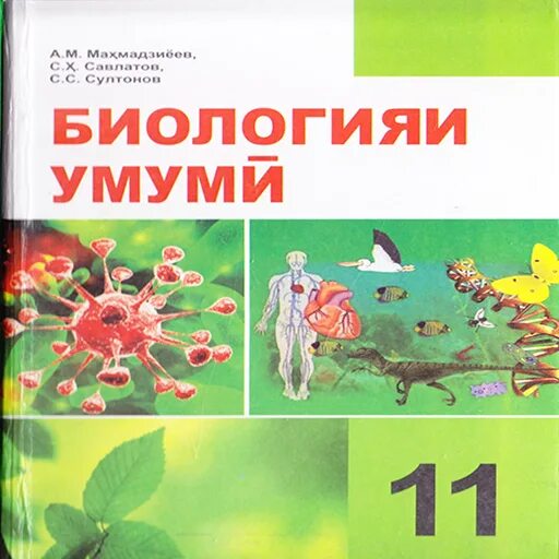 Биология андроид. Биология синфи 9. Биология синфи 9. Биология синфи 10. Эмблема ифбибт.