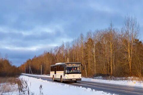 Автобус 265 спб