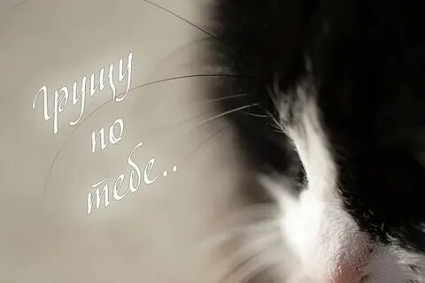 Буду скучать без тебя любимый