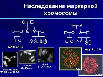 Мутация 6