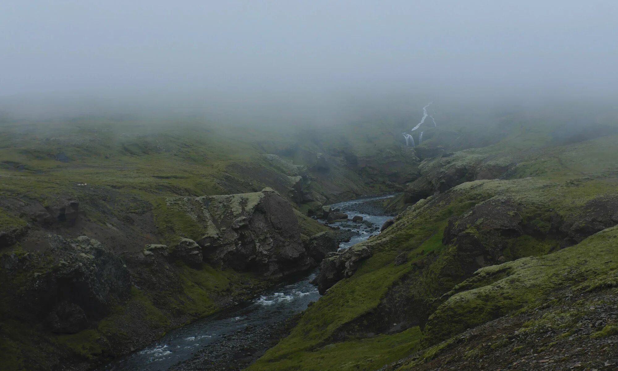 Туманная исландия. Пасмурная природа исландии. Туман холмы исландия. Туманная исландия. Исландия туман.
