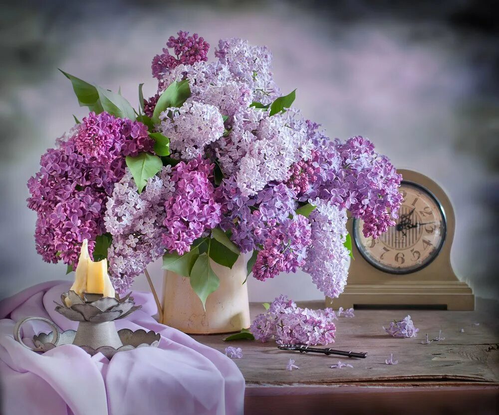 Красивый букет сирени фото. Сирень Кэнди Роуз. Lovely Lilac сирень.