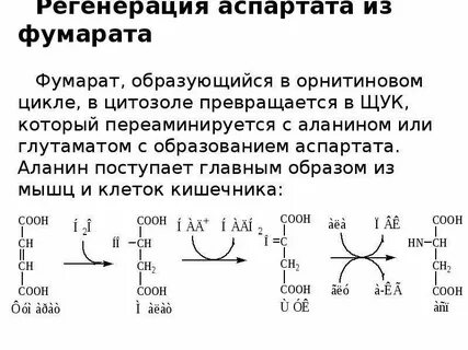 Аспартат