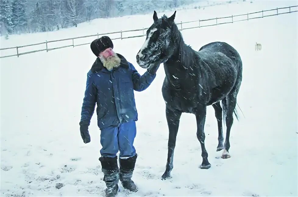 Привел лошадь домой. Лошадь привели в квартиру Кемерово. Мужик привел коня домой. Новости житель Осинников привёл коня домой. Мужик привел коня в квартиру