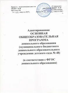Адаптированная общеобразовательная рабочая программа