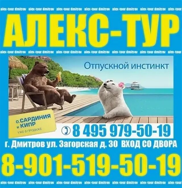 Сайт алекс тур