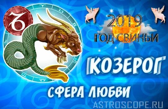 Козерог сфера. Козерог в год свиньи года. Козерог и работа. Козерог какой год 2024