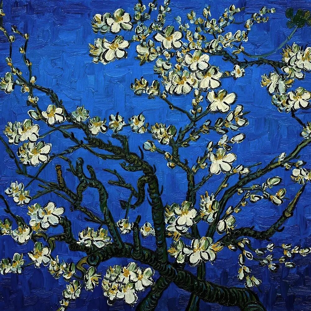Картины ван. Ван Гог миндальное дерево оригинал. Almond Blossom Винсент Ван Гог. Ван Гог Цветущий миндаль картина. Винсент Ван Гог цветущие ветки миндаля 1890.