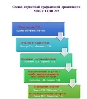 Виды первичной профсоюзной организации