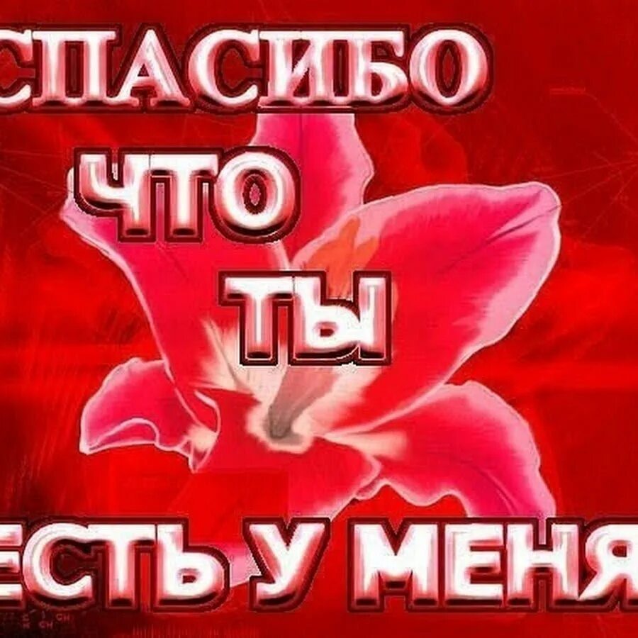 Спасибо любимому. Спасибо что ты есть у меня. Спасибо что ты есть. Любовь спасибо что ты есть. Спасибо за то что ты есть.