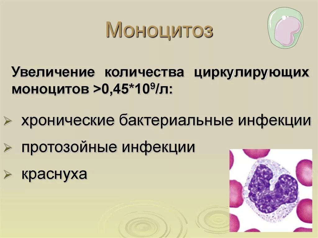 Повышенные моноциты причины. Моноцитоз. Моноцитоз в крови. Лейкопения и моноцитоз.