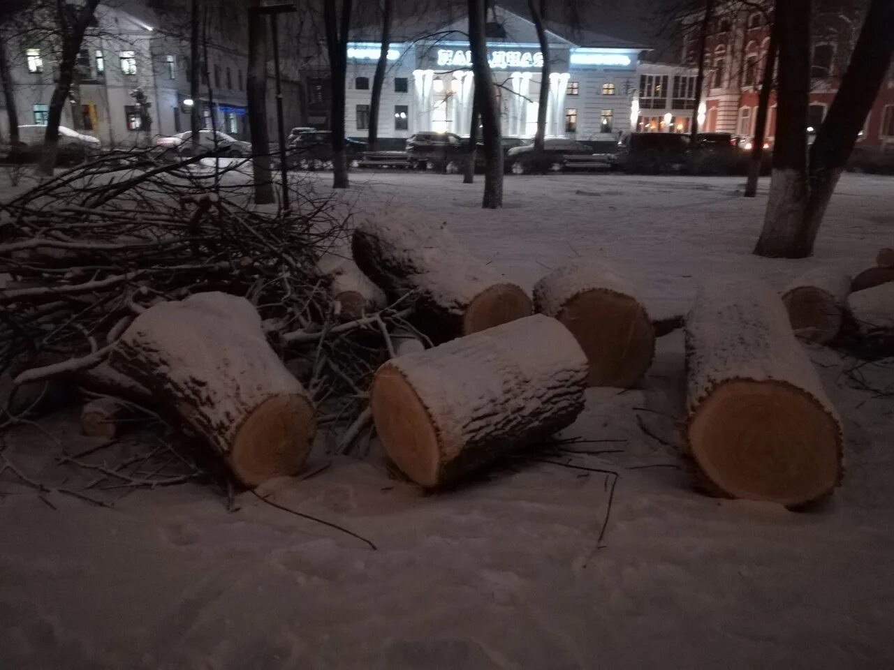 Минусы вырубки деревьев. Вырубка деревьев в городе. вырубка деревьев на тверской улице. вырубка деревьев тверская липы. вырубка деревьев дубна.