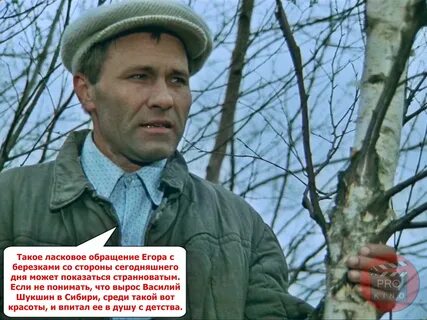 Шукшин калина красная краткое