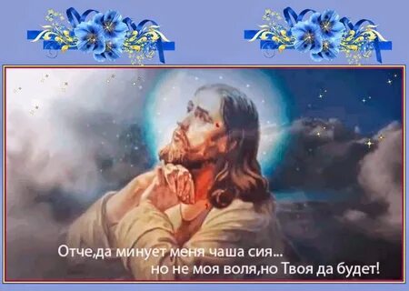 И меня на сия