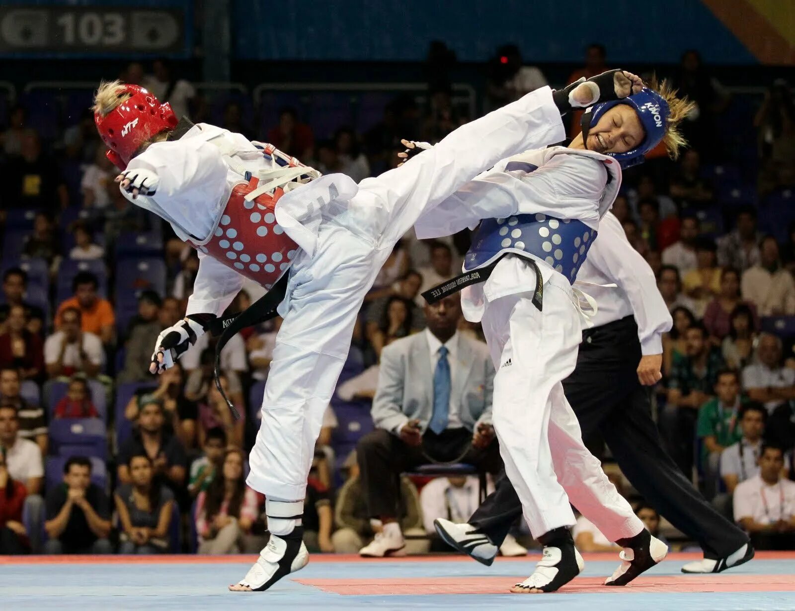 Тхэквондо вк. Боевые искусства Кореи. Россия опен тхэквондо. Taekwondo Korea. Баннера на турнир тхэквондо.