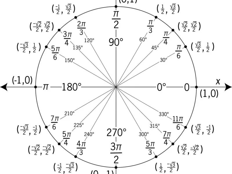 Единичная тригонометрическая окружность. Тригонометрический круг синус. Тригонометрический круг единичная окружность. Единичная окружность с градусами.