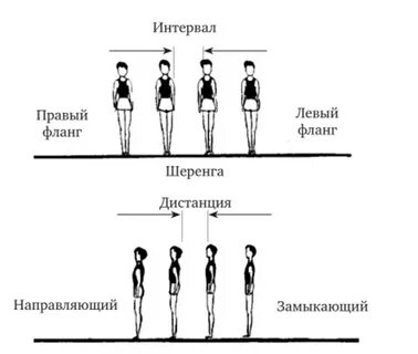 Расстояние между занимающимися в шеренге