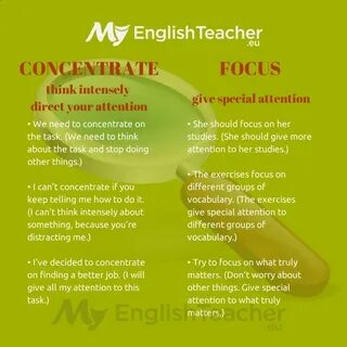 Focus concentrate