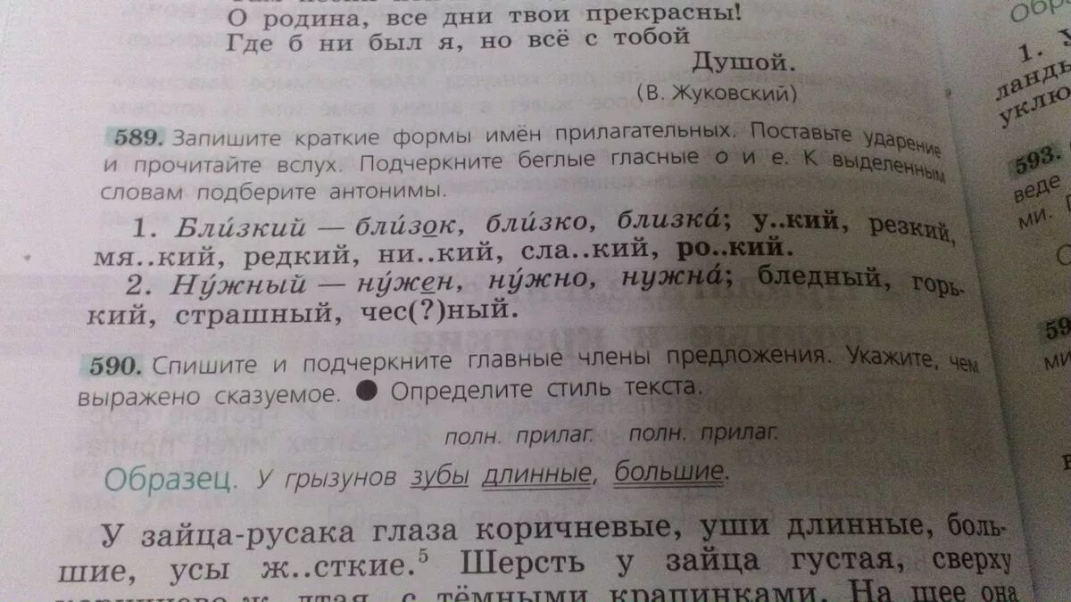 Поставьте ударения прочитайте слова вслух. Пунктуационный разбор предложения у зайца русака глаза. Рус яз номер 589. Русский язык 5 класс 2 часть номер 589. Пунктуационный разбор предложения у зайца русака глаза коричневые.