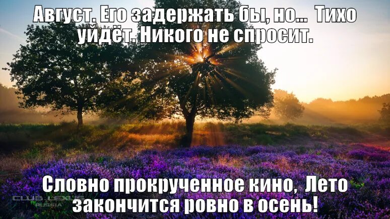 Цитаты лета со смыслом. Цитаты про август. Цитаты про лето август. Цитаты про август красивые. Конец августа цитаты.
