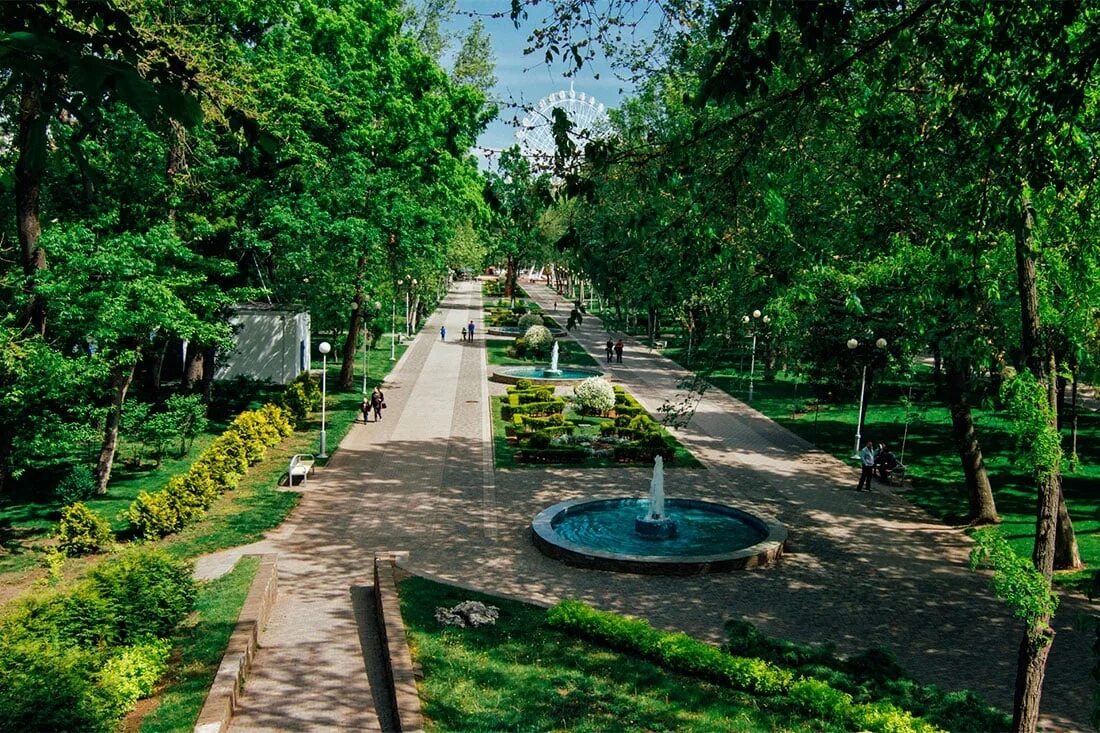 Краснодар под. Парк чистяковская роща. чистяковская роща в краснодаре. парк горького краснодар. парк горецкого краснода.