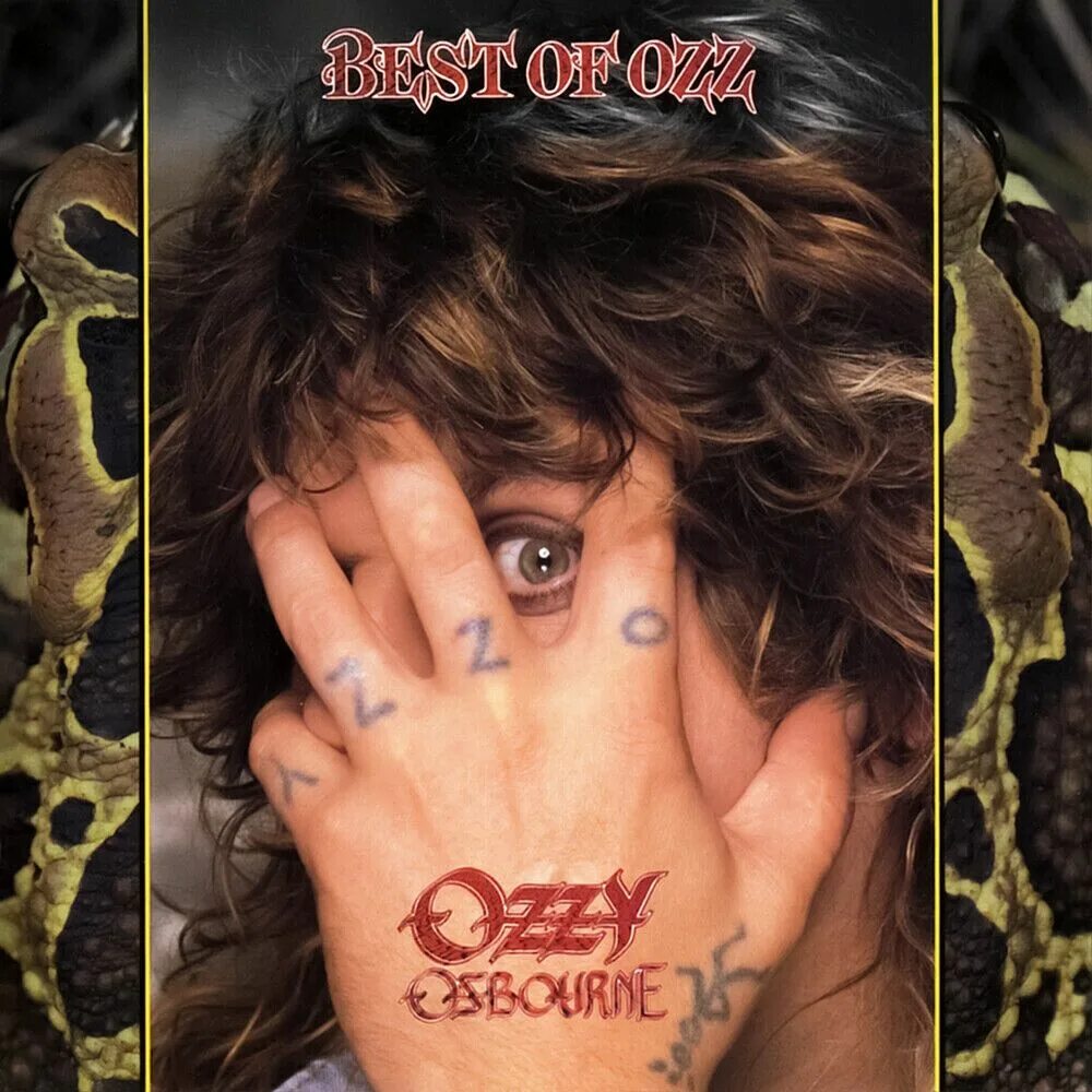 Ozzy no rest for the wicked. Ozzy osbourne. ozzy osbourne 1989. оззи осборн 1986. ozzy osbourne best of ozz.
